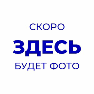 Чистод, СПРЕЙ 1 л