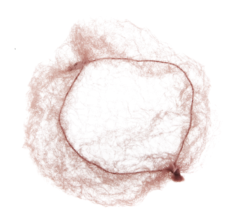 DEWAL, CE101 Сеточка для прически, коричневая 2 шт/уп
