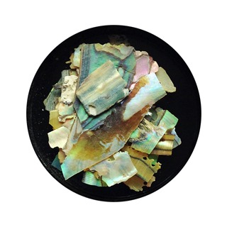 Solinberg, Дизайн для ногтей "Ракушка Аурелия" №2 арт. 273а-AUR02