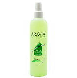 ARAVIA Professional 1023, Минерализованная вода с мятой и витаминами, 300 мл