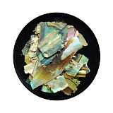 Solinberg, Дизайн для ногтей "Ракушка Аурелия" №2 арт. 273а-AUR02